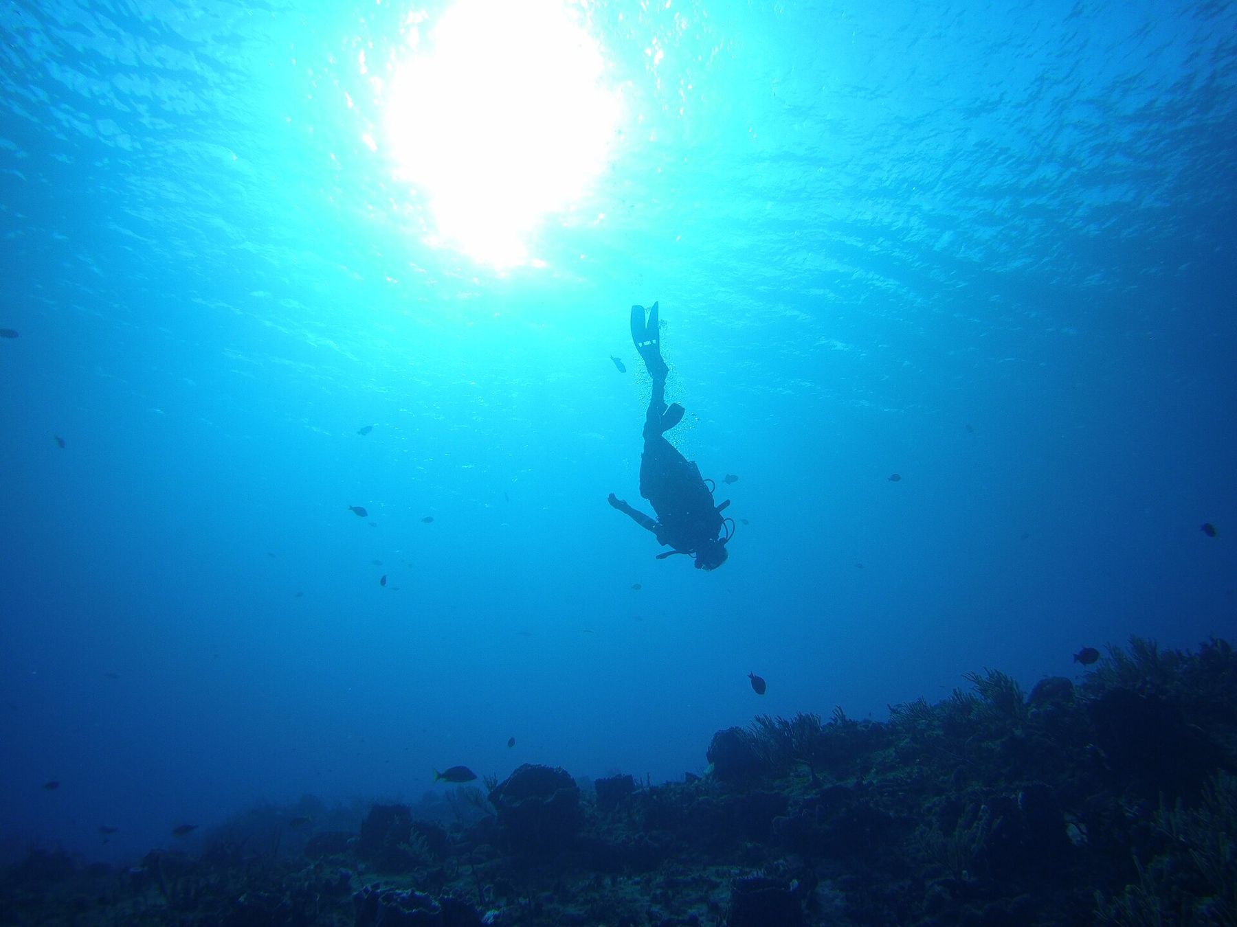 Deep blue water over a Cozumel reef