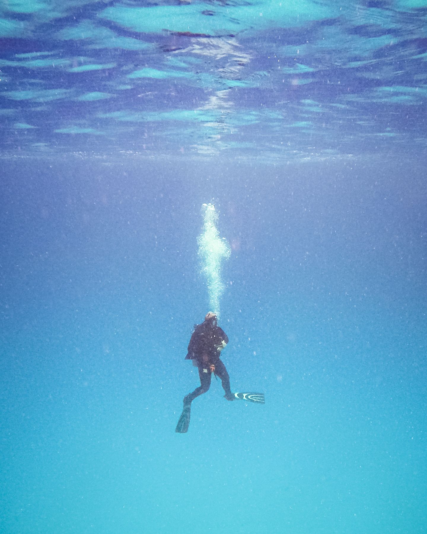 A scuba diver exploring the reef in Cozumel